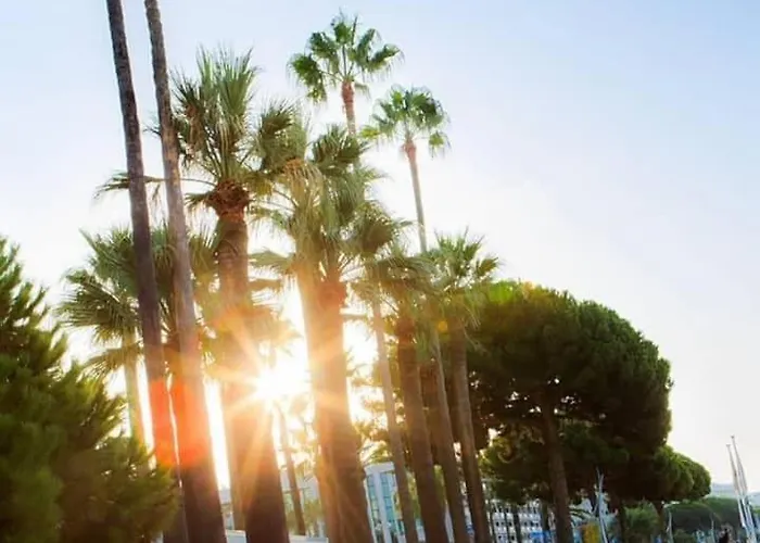 And Breakfast Apartament Cannes